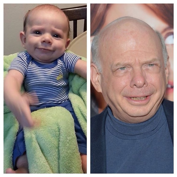 Bebek Wallace Shawn