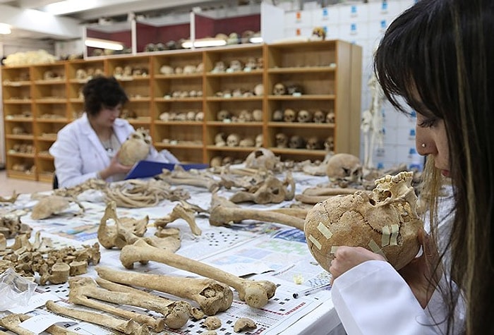 Anadolu'nun 'Kemik Koleksiyonu' Tarihe Işık Tutuyor