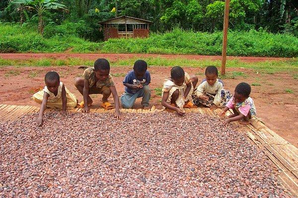 8. Sadece çocuk işçiliği değil çocuk ticareti de çikolata endüstrisinin kara lekesi.