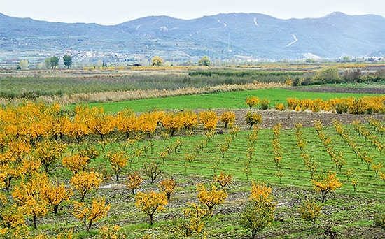 Sakarya Nehri Kenarına Fabrika Kurulacak