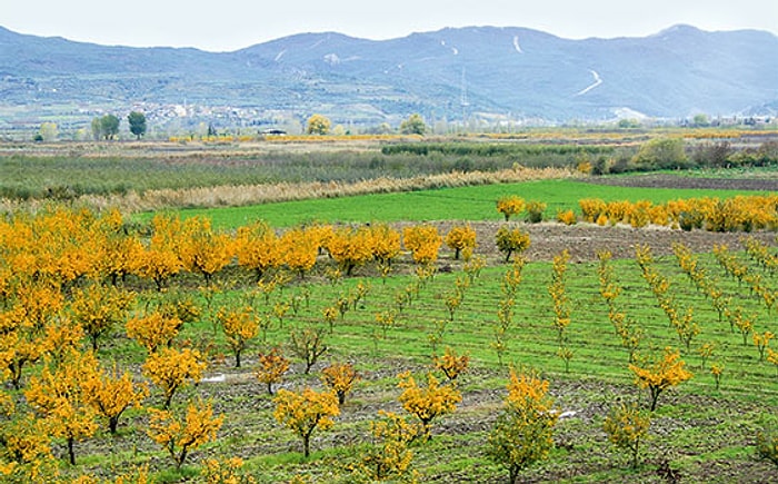 Sakarya Nehri Kenarına Fabrika Kurulacak