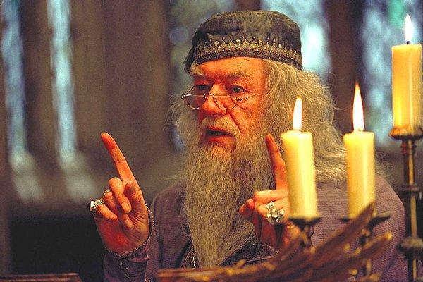 3. Dumbledore / Harry Potter