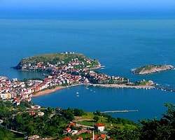 Amasra'da 'Ağaç Katliamı Başladı'