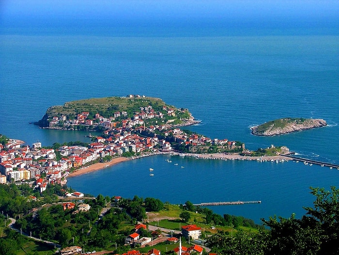 Amasra'da 'Ağaç Katliamı Başladı'