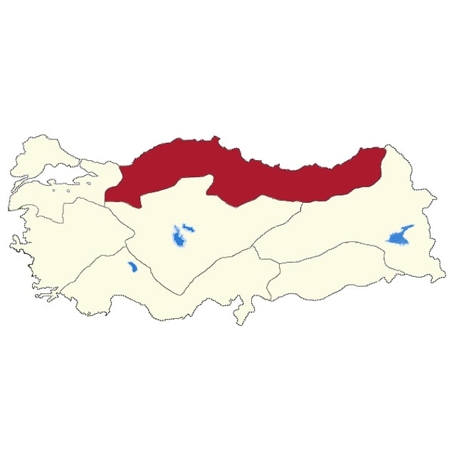 "Karadeniz" çıktı!