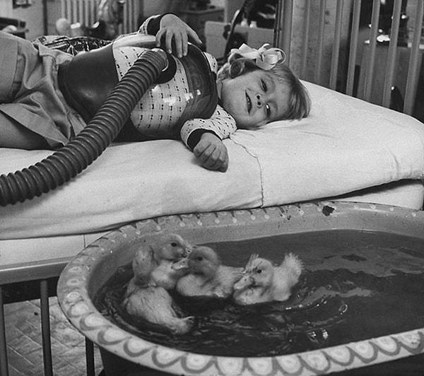 8. Medikal tedavinin bir parçası olarak kullanılan hayvanlar, 1956.