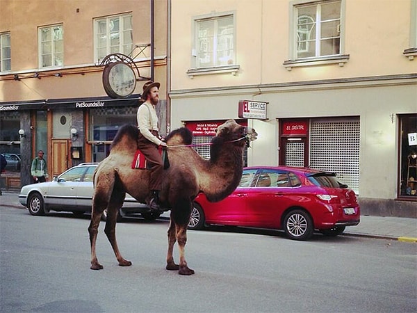 19. "Araba kullanmak bence çok mainstream yeaea"