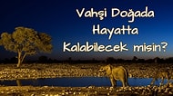 Vahşi Doğada Hayatta Kalabilecek misin?