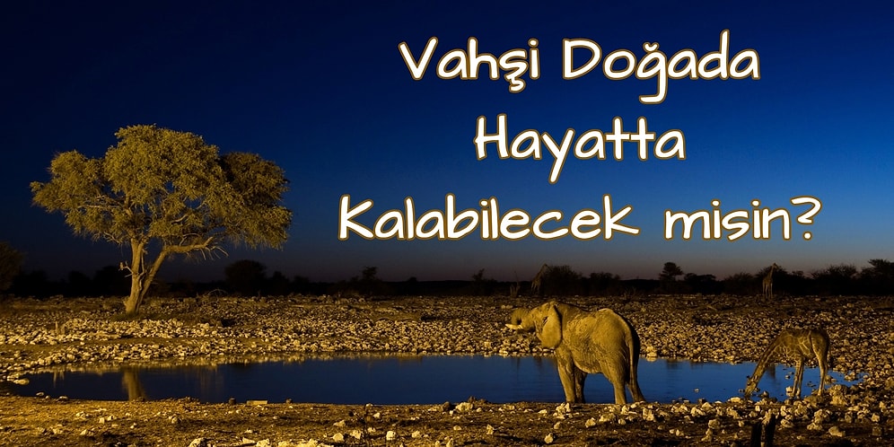 Vahşi Doğada Hayatta Kalabilecek misin?