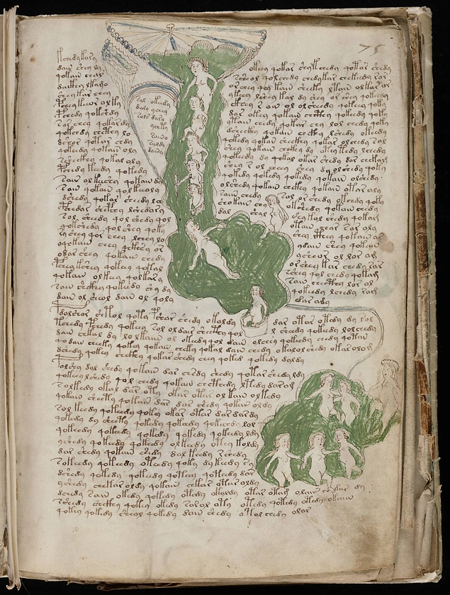 Voynich Elyazması