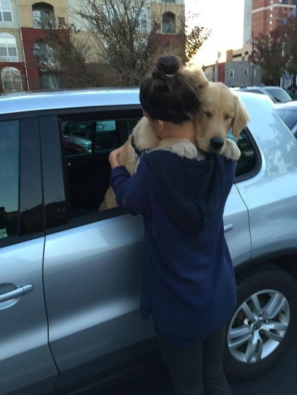 41. Hayatınızdaki en anlamlı hoşçakal sarılışını size köpeğiniz verecektir.