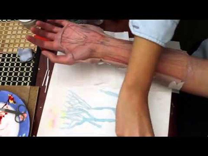 Kulak Çöpüyle Harikalar Yaratan Sanatçı