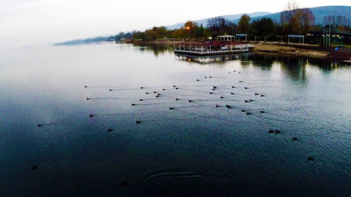 Sapanca Gölü, Yağışlarla Yükselmeye Başladı