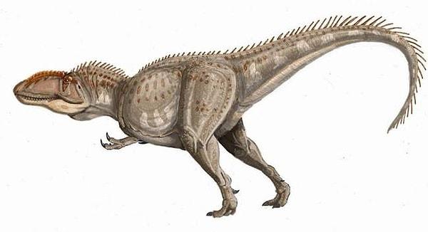 2-) Giganotosaurus