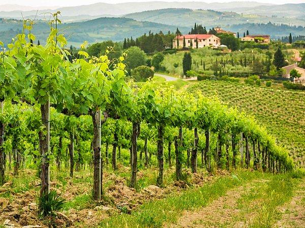 40. İtalya'nın Toskana Bölgesi'ne gidip yerel şarapları tatmak.