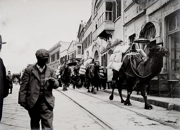 1900'ün başları Kordon'da develer.