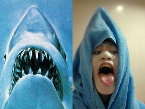 9. Shark