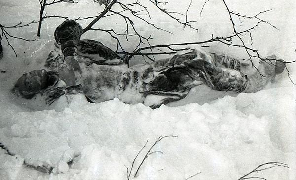 22-)  Kurtarma Ekiplerinin Kamerasından, 26 Şubat 1959 (Dyatlov'un Cesedi)