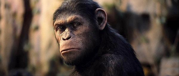 Planet of the Apes - Maymunlar Cehennemi