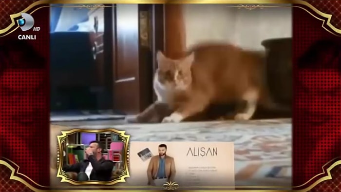 Alişan'dan Korkan Hayvanlar | Beyaz Show