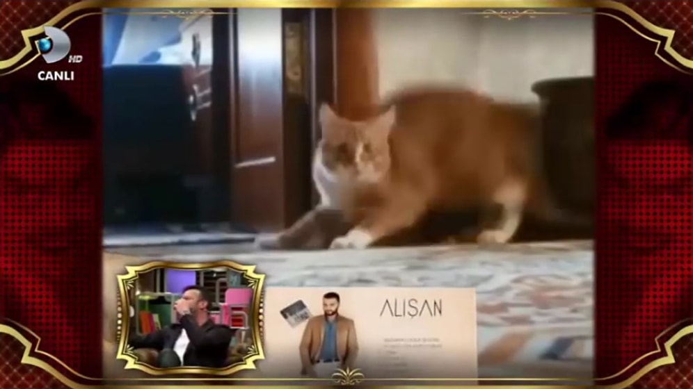 Alişan'dan Korkan Hayvanlar | Beyaz Show