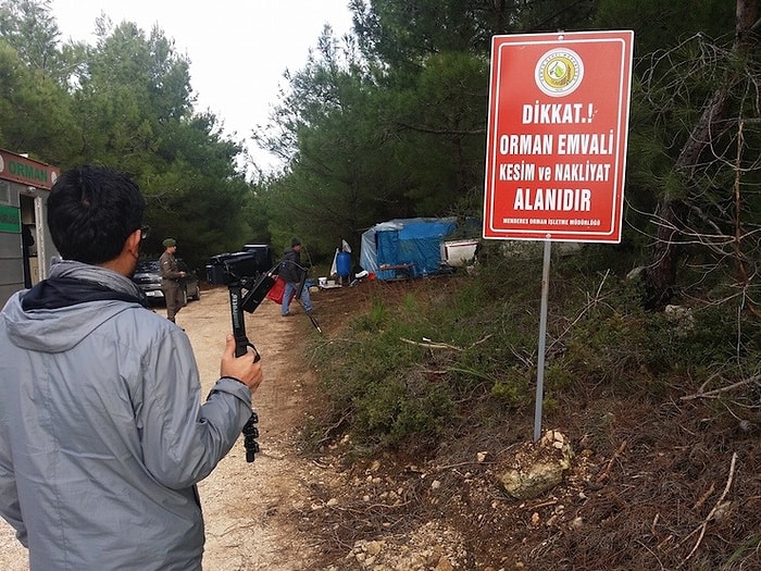 Urla'da Ağaç Kesimi Yapılacak Bölge Köylülere Yasak