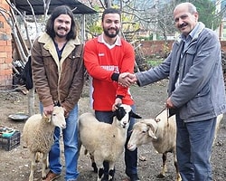 3 Küçükbaş Hayvana Transfer Oldu