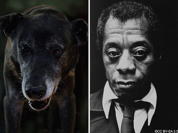 15. James Baldwin