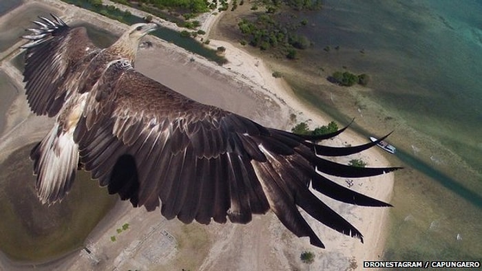 2014'ün Drone ile Çekilen En İyi Fotoğrafları