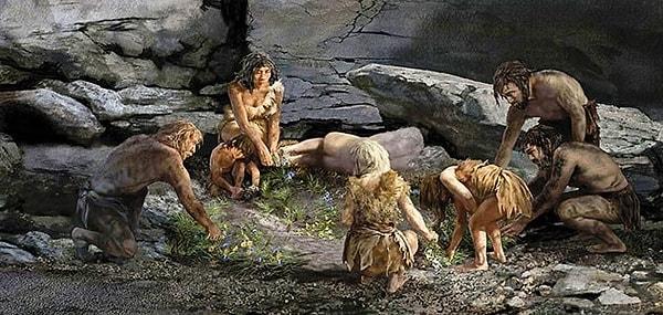 4. Ne kadar Neandertal geni taşıyoruz?