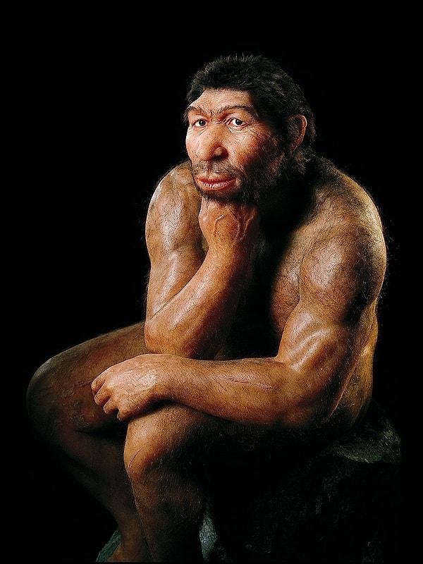 13. Hepimiz biraz Neandertaliz...