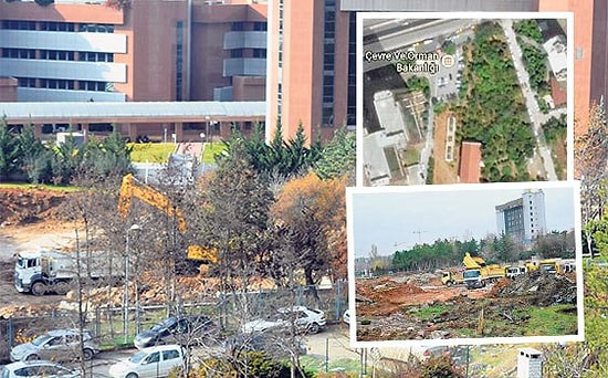 Orman Bakanlığı Arka Bahçesindeki 500 Ağacı Kesti