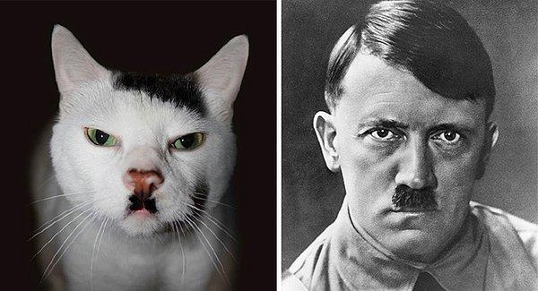 3. Amanınnn! Kedi Hitler