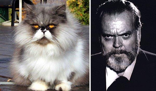 19. Kedi Welles, 6 Mayıs 1915'te...