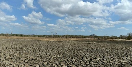 BM İklim Konferansında Anlaşma Sağlandı