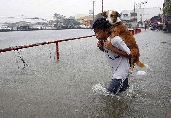25. Manila, Filipinler'de sel sularına kapılan bir köpeği sırtına alan çocuk.