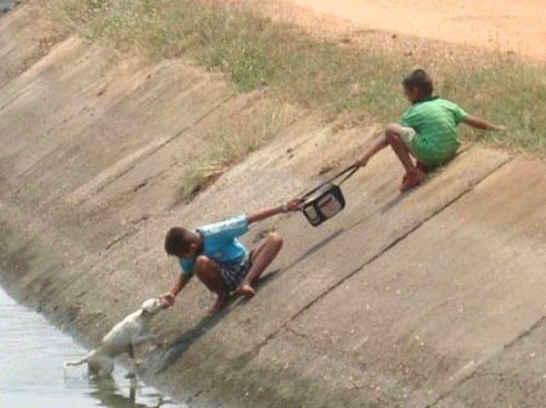 6. Su kanalına düşen yavru köpeği kurtarmaya çalışan küçük çocuklar.