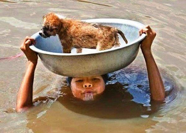 4. Sel felaketinde yavru köpeğini canı pahasına koruyan bir kadın.