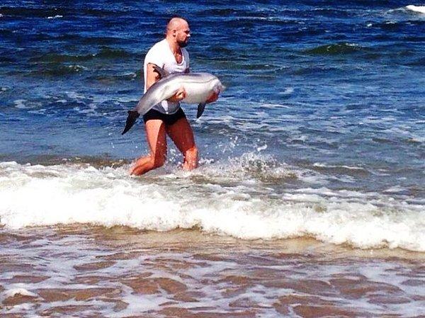 2. MMA dövüşcüsü Cathal Pendred, kıyıya vuran yavru yunusu okyanusa doğru taşıyor.