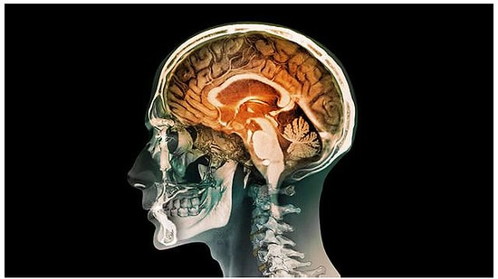 Beynimizin Yarısıyla Yaşayabilir miyiz?