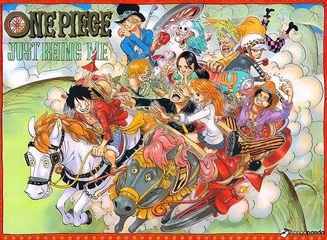 One Piece İzleyenlerin Bildiği 12 Şey