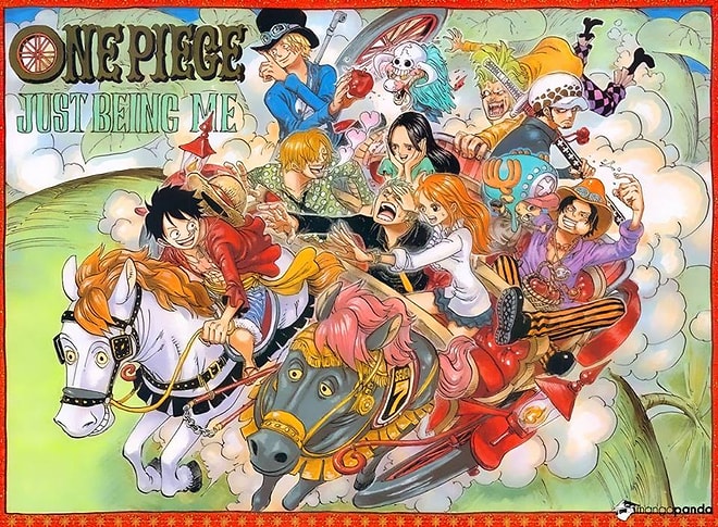 One Piece İzleyenlerin Bildiği 12 Şey