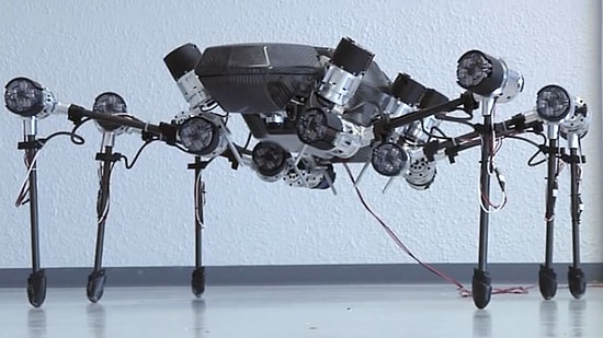 Robot Böcek İlk Adımlarını Attı