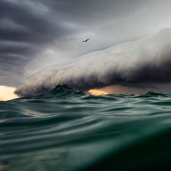 4. Sidney'de fırtına - Jem Cresswell