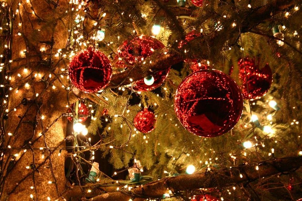 Yeni Yıl Yaklaşırken Elinde Noel Ağacı ile Sultanbeyli'ye Gitmek Kadar Tehlikeli 10 Şey
