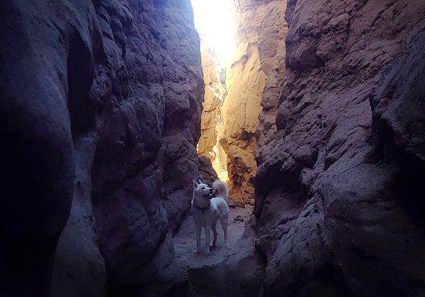 22. The Slot Canyons of Anza-Borrego, CA