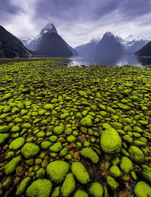 129. Milford Sound, Yeni Zelanda