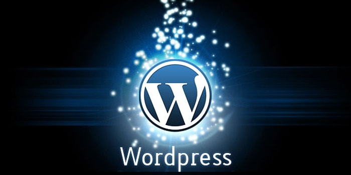 Google Zararlı Yazılımlar Nedeniyle Binlerce Wordpress Sitesini Engelledi