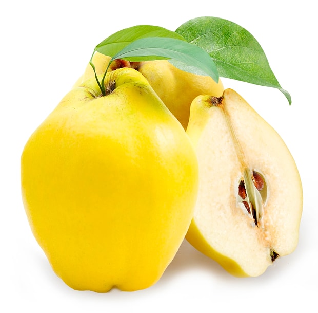Ayva