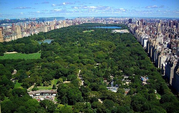 4. Central Park - 40.000.000 ziyaretçi